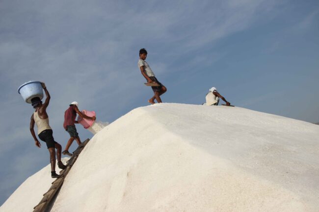 social security code